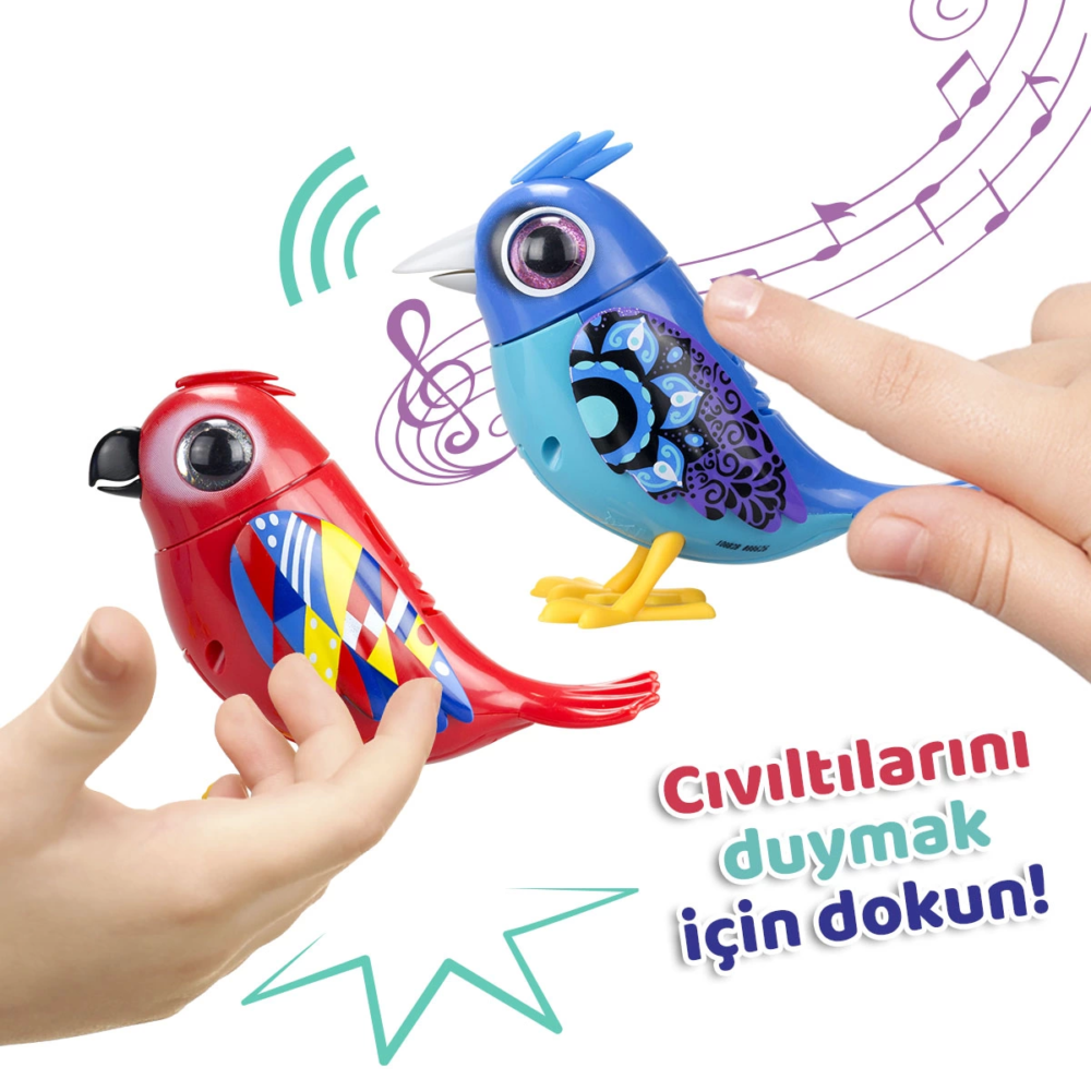 Digibirds İkili Paket Seri 2